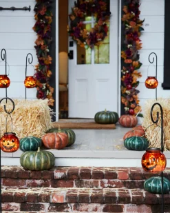 Rustic Heirloom Pumpkins