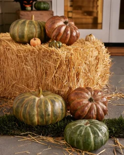 Rustic Heirloom Pumpkins