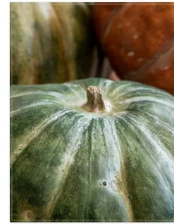 Rustic Heirloom Pumpkins