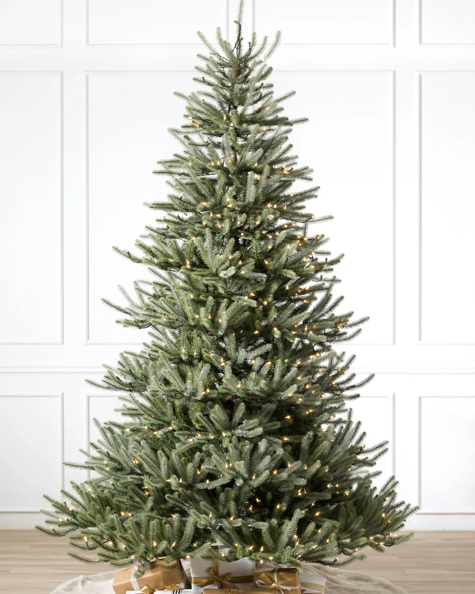 Sanibel Spruce Trees