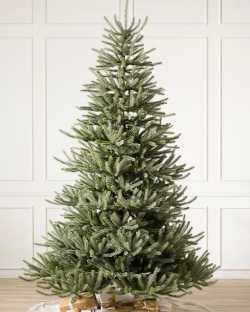 Sanibel Spruce Trees