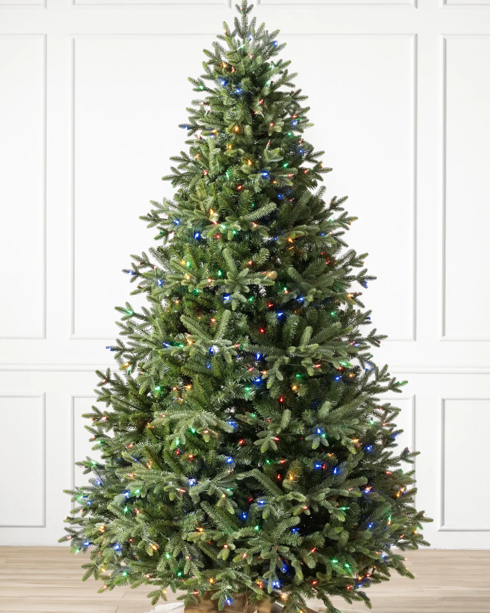 Saratoga Spruce Trees