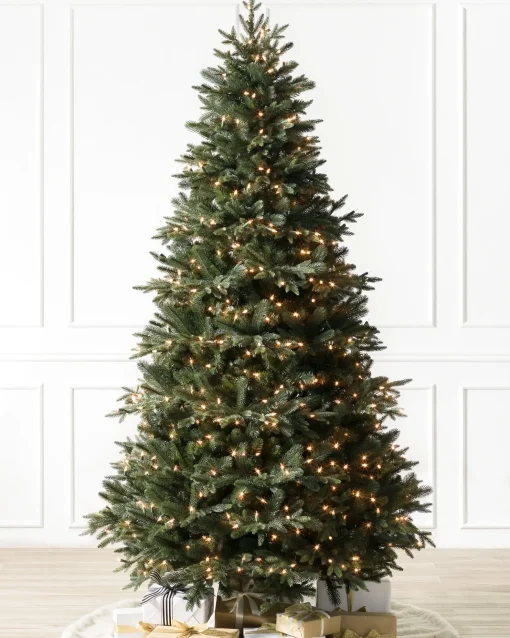 Saratoga Spruce Trees