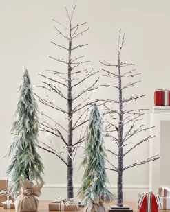 Snowfall Downswept Trees