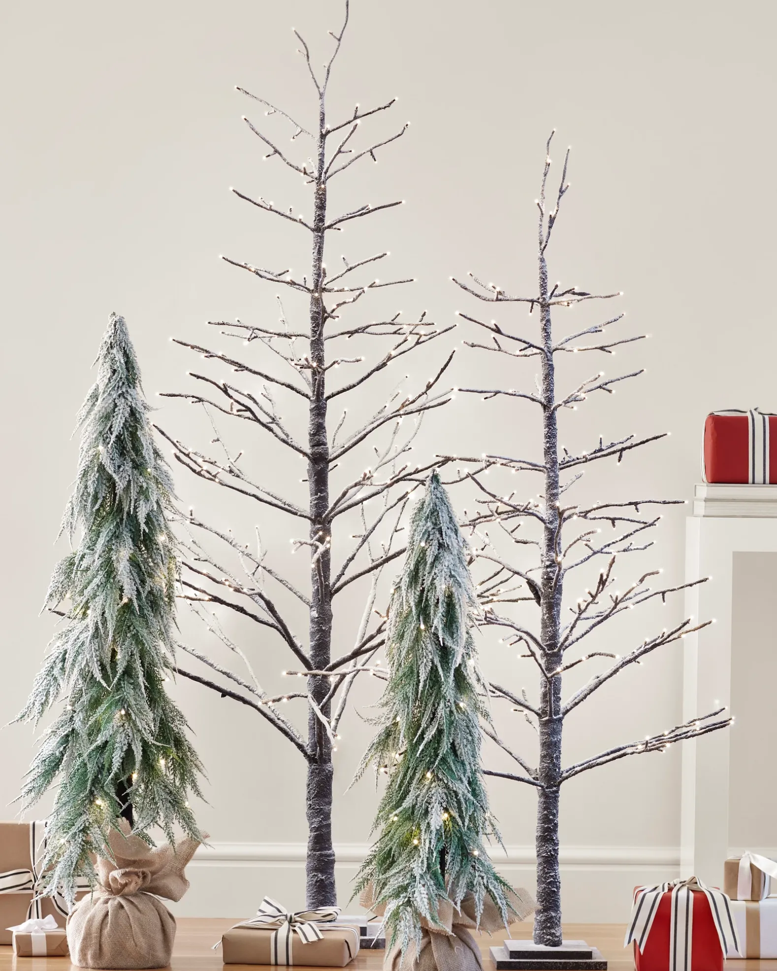 Snowfall Downswept Trees
