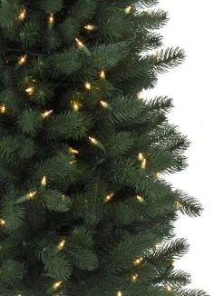 Sonoma Slim® Trees