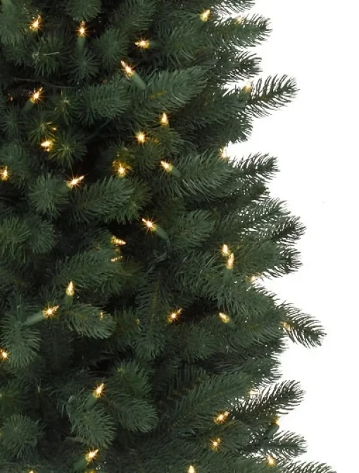 Sonoma Slim® Trees