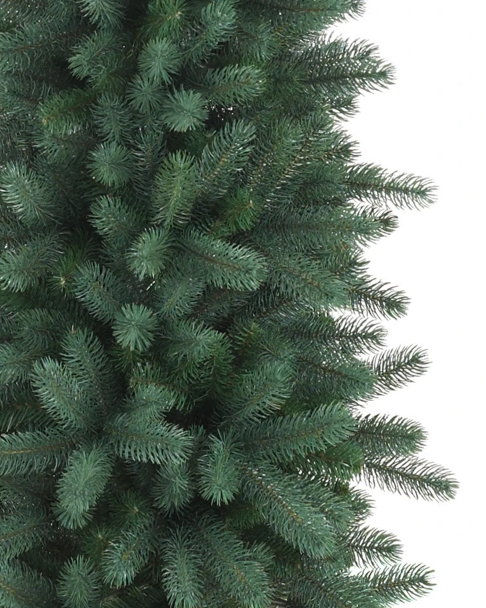 Sonoma Slim® Trees