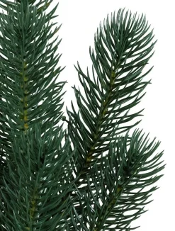 Sonoma Slim® Trees