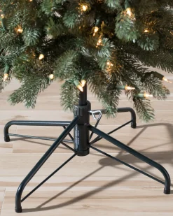 Sonoma Slim® Trees