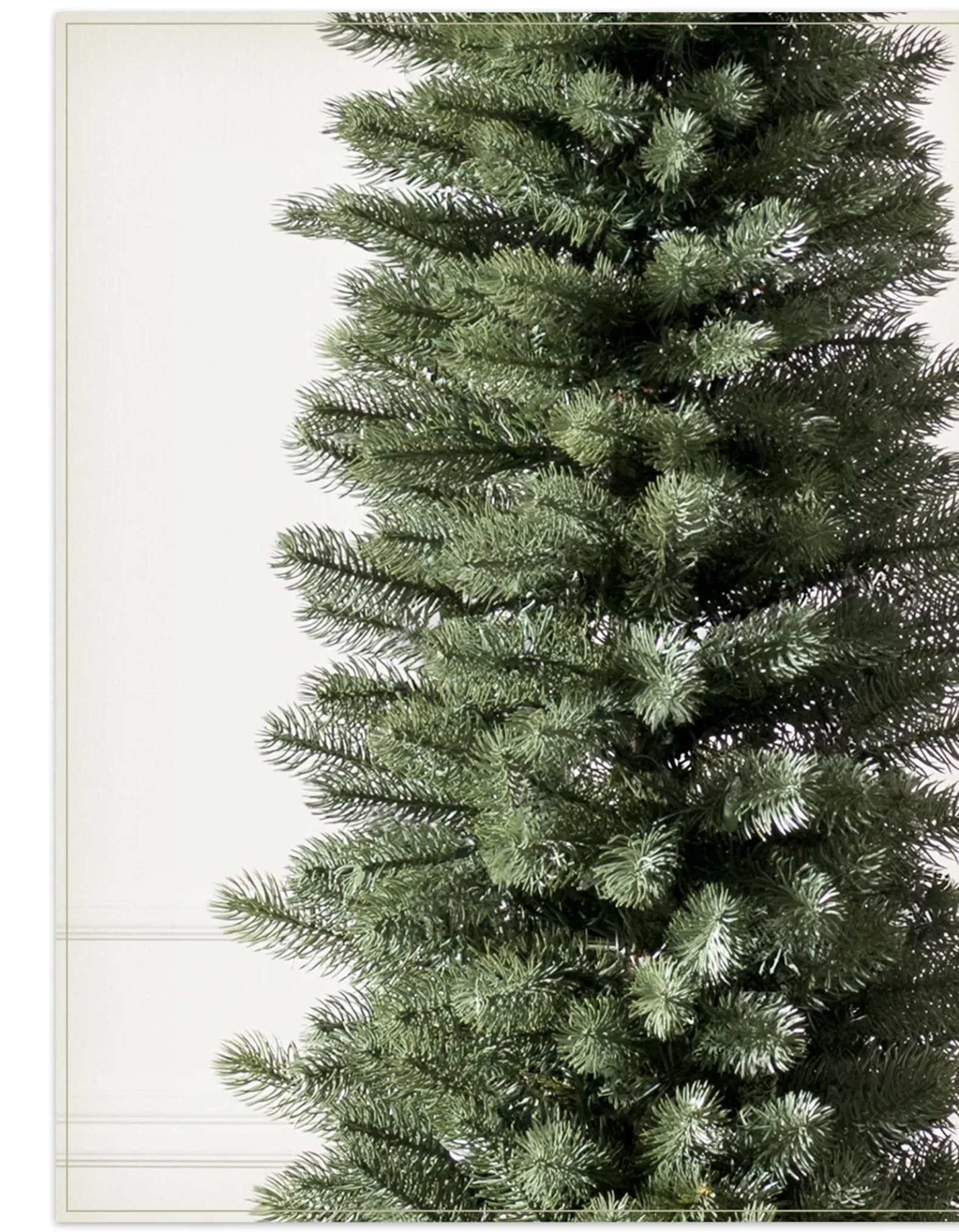 Sonoma Slim® Trees
