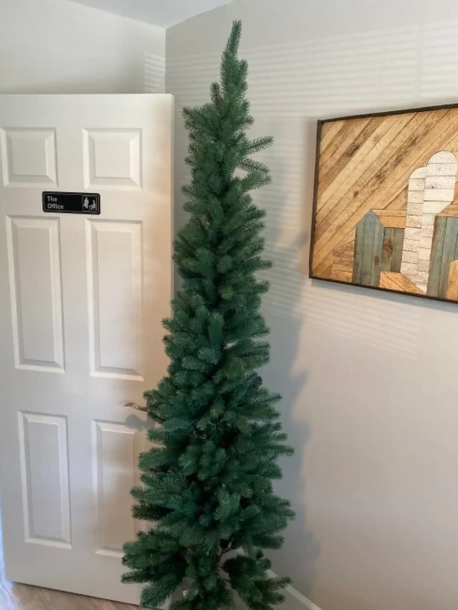 Sonoma Slim® Trees