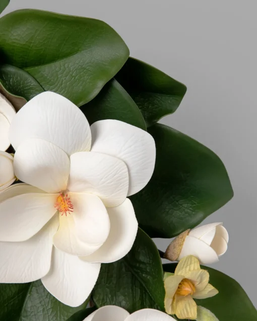 Spring Magnolia Foliage