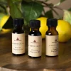 Spring Scents Of The Season Cartridge Set
