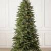 Stratford Spruce Trees
