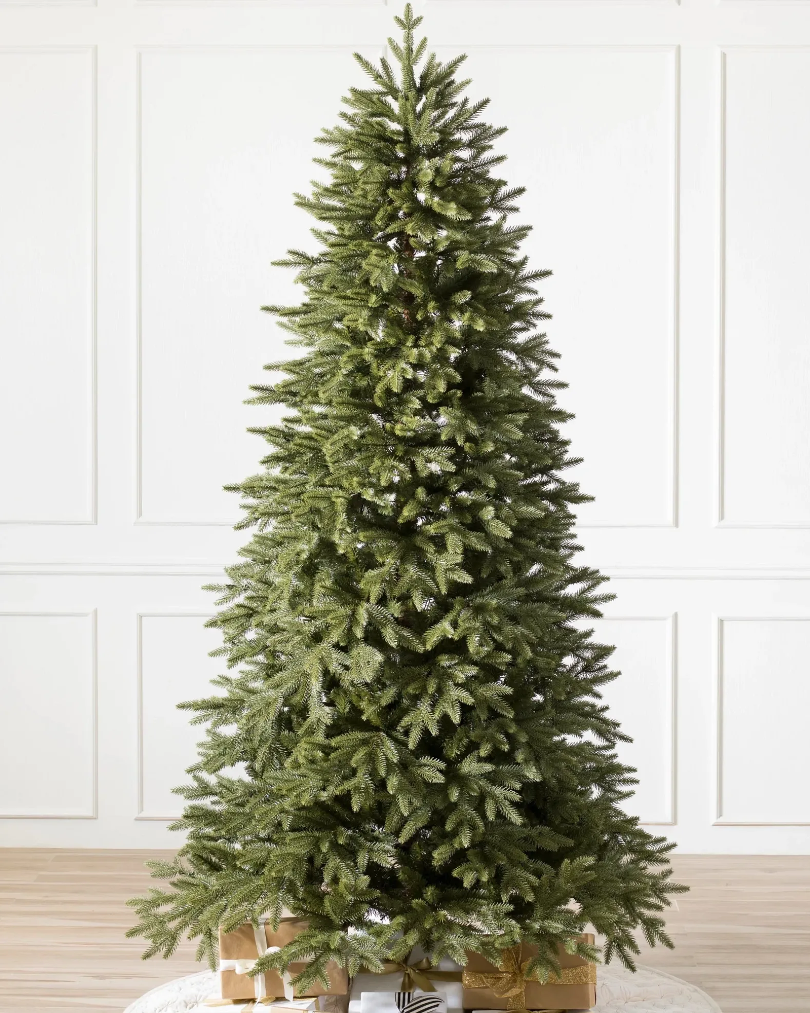 Stratford Spruce Trees