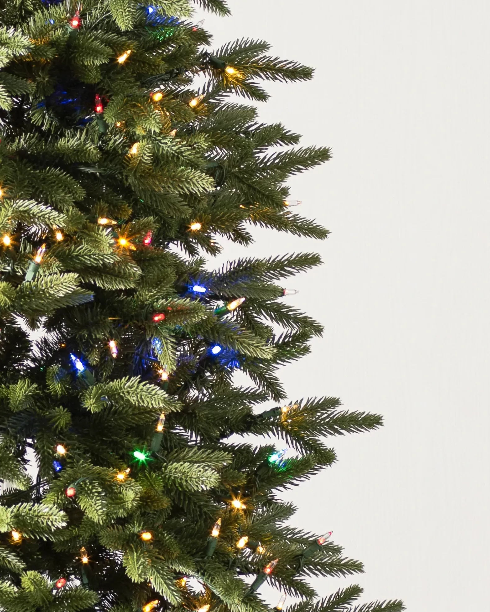 Stratford Spruce Trees