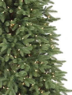 Stratford Spruce Trees