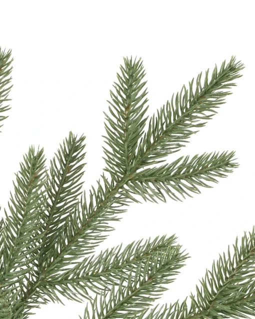 Stratford Spruce Trees