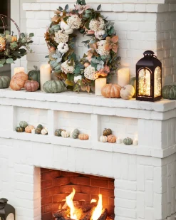 Tabletop Heirloom Pumpkins