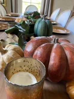 Tabletop Heirloom Pumpkins