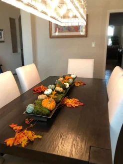 Tabletop Heirloom Pumpkins