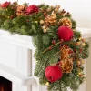 Vermont White Spruce Bordeaux Foliage