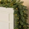 Vermont White Spruce Foliage