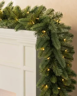 Vermont White Spruce Foliage
