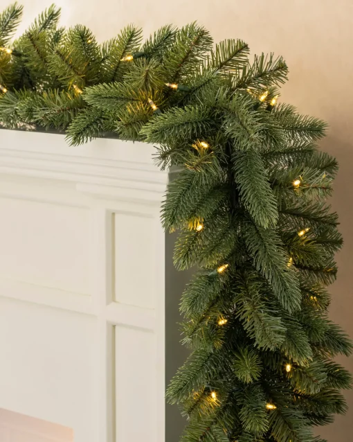 Vermont White Spruce Foliage
