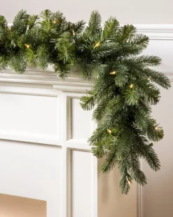 Vermont White Spruce Foliage