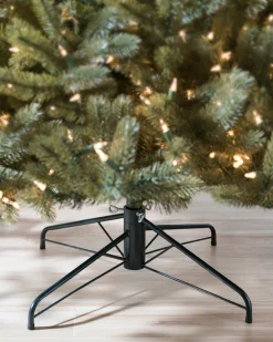 Vermont White Spruce® ReNEW™