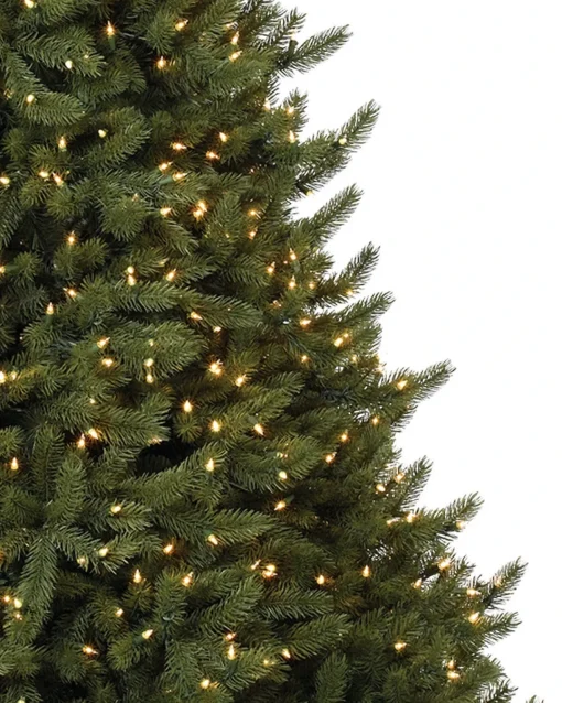 Vermont White Spruce® Trees
