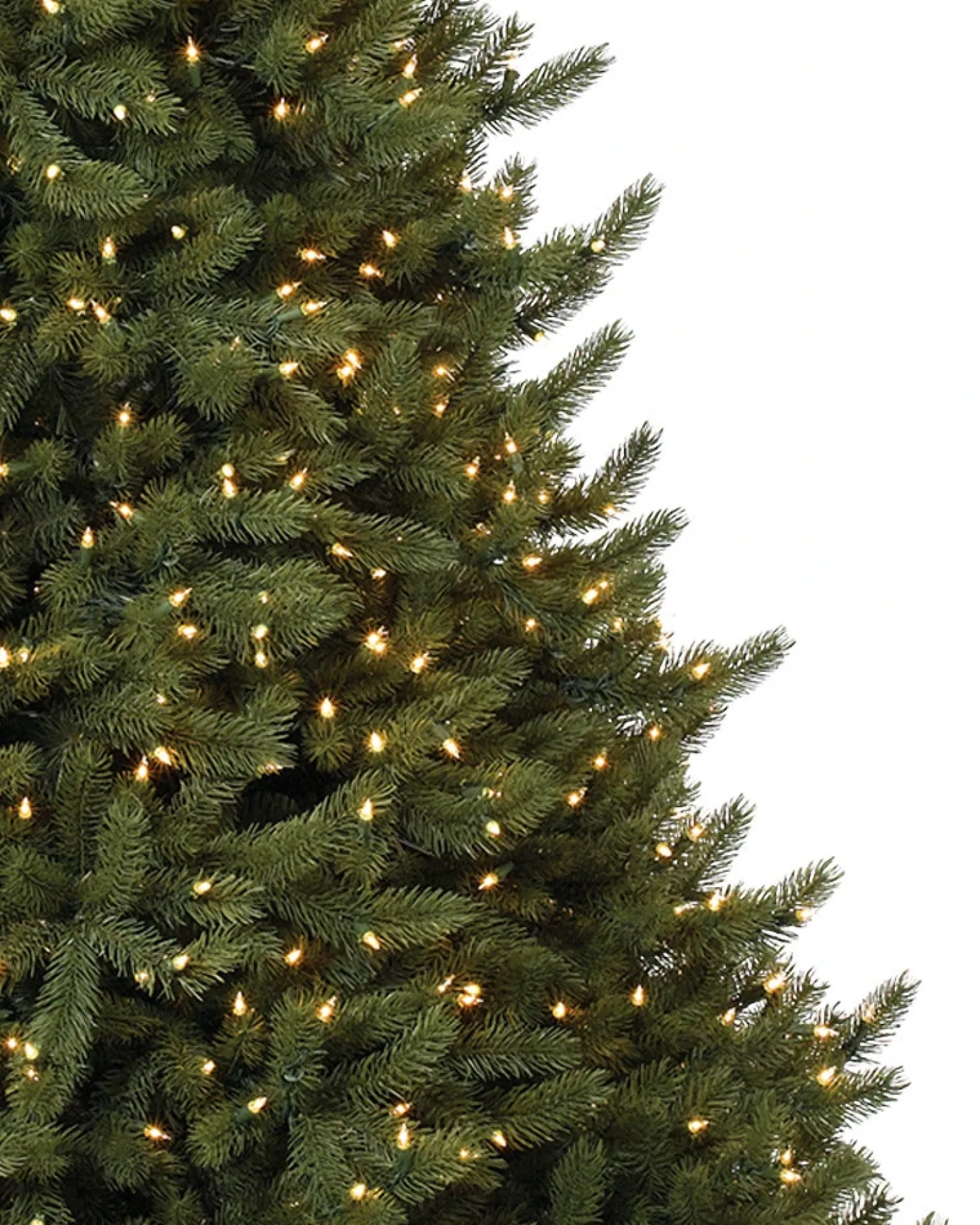 Vermont White Spruce® Trees