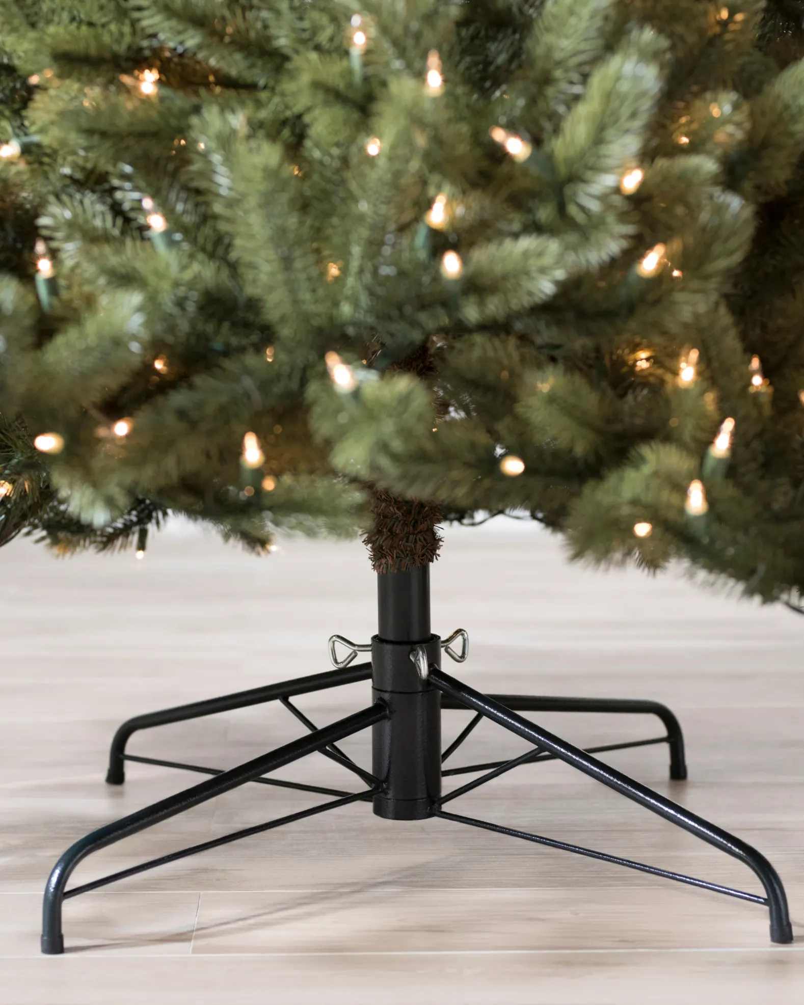 Vermont White Spruce® Trees