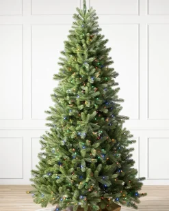 Woodland Spruce Trees