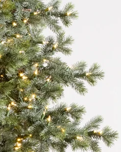 Yukon Spruce® ReNEW™