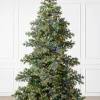 Yukon Spruce® Trees