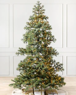 Yukon Spruce® Trees